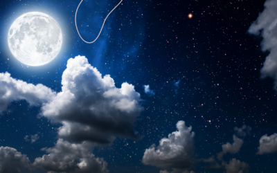 Czynności wieczorne