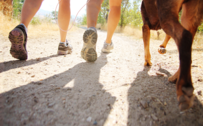 70: Co można zrobić z czasownika GEHEN
