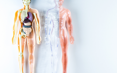 102: O przymykaniu oka i lekceważeniu czegoś po niemiecku. Idiomy związane z ciałem.