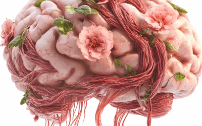 121: Nie masz talentu do języka? Twój mózg w to uwierzy!